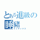 とある進級の睡豬（インデックス）