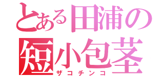 とある田浦の短小包茎（ザコチンコ）