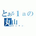 とある１ａの丸山（ガンザン）