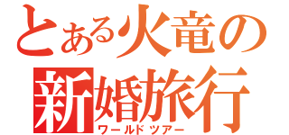 とある火竜の新婚旅行（ワールドツアー）