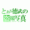 とある徳武の盗撮写真（ピクチャーズ）