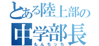 とある陸上部の中学部長（もんちっち）