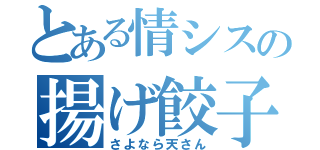 とある情シスの揚げ餃子（さよなら天さん）