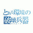 とある環境の破壊兵器（バハムート）