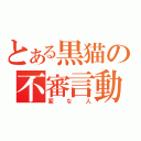 とある黒猫の不審言動（変な人）