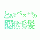 とあるバスケ部の波状毛髪（天然パーマ）