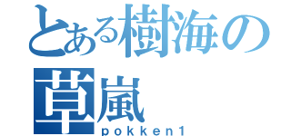 とある樹海の草嵐（ｐｏｋｋｅｎ１）