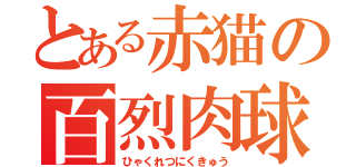 とある赤猫の百烈肉球（ひゃくれつにくきゅう）