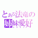 とある法竜の姉妹愛好（シスコン）