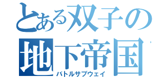 とある双子の地下帝国（バトルサブウェイ）