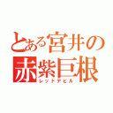 とある宮井の赤紫巨根（レッドデビル）