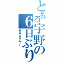 とある宇野の６日ぶり（意外とびみょ~）