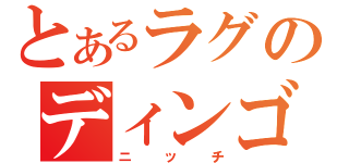 とあるラグのディンゴ（ニッチ）