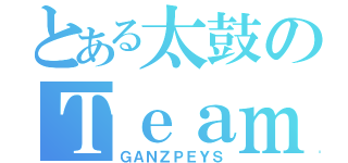 とある太鼓のＴｅａｍ（ＧＡＮＺＰＥＹＳ）