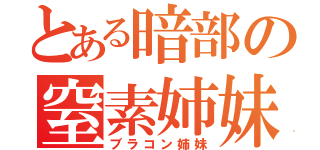 とある暗部の窒素姉妹（ブラコン姉妹）