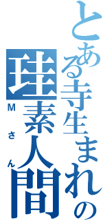 とある寺生まれの珪素人間（Ｍさん）