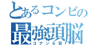 とあるコンビの最強頭脳（コナン＆哀）