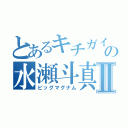 とあるキチガイの水瀬斗真Ⅱ（ビッグマグナム）