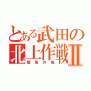 とある武田の北上作戦Ⅱ（騎馬作戦）