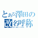 とある澤田の改名呼称（コールミーパグミ）