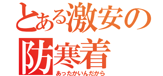 とある激安の防寒着（あったかいんだから）