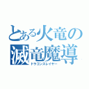 とある火竜の滅竜魔導士（ドラゴンスレイヤー）