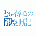 とある薄毛の観察日記（かんさつにっき）