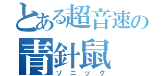 とある超音速の青針鼠（ソニック）