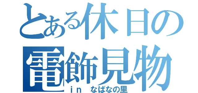 とある休日の電飾見物（ｉｎ なばなの里）