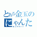 とある金玉のにゃんたま目録（ねこかわいい）