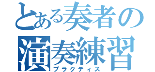 とある奏者の演奏練習（プラクティス）