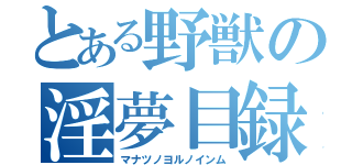 とある野獣の淫夢目録（マナツノヨルノインム）