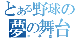 とある野球の夢の舞台（甲子園）