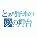 とある野球の夢の舞台（甲子園）