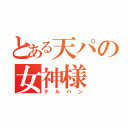 とある天パの女神様（テルハン）