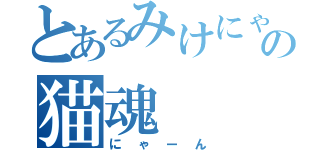 とあるみけにゃんの猫魂（にゃーん）