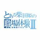 とある柴田姫の職場体験Ⅱ（幼稚園の先生）