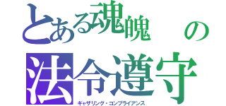 とある魂魄　　ソウルの法令遵守（ギャザリング・コンプライアンス）