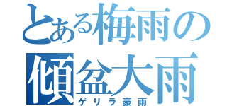 とある梅雨の傾盆大雨 （ゲリラ豪雨）