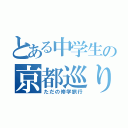 とある中学生の京都巡り（ただの修学旅行）