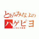 とあるみなよのハゲピヨ（ピカピカ発電）