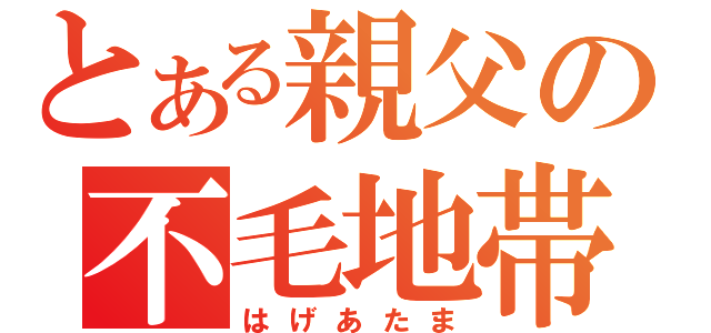 とある親父の不毛地帯（はげあたま）