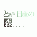 とある日産の森（シルビア）