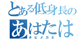 とある低身長のあはたはやは（チビメガネ）