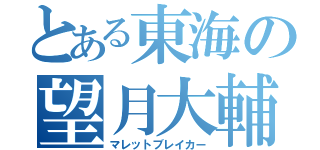 とある東海の望月大輔（マレットブレイカー）