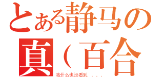 とある静马の真（百合）无双（我什么也没看到．．．．）