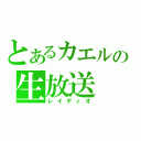 とあるカエルの生放送（レイディオ）