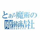 とある魔術の魔術結社（ネセサリウス）