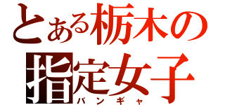 とある栃木の指定女子（バンギャ）