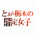 とある栃木の指定女子（バンギャ）